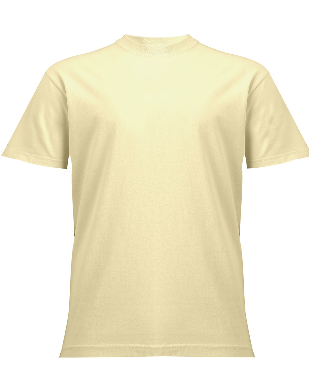 Heavyweight adult t-shirt