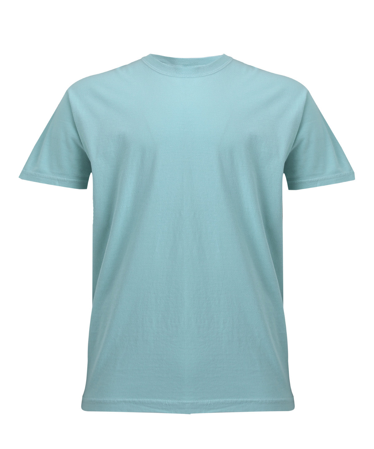 Heavyweight adult t-shirt