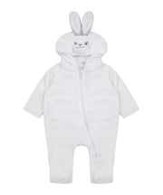 Rabbit all-in-one 